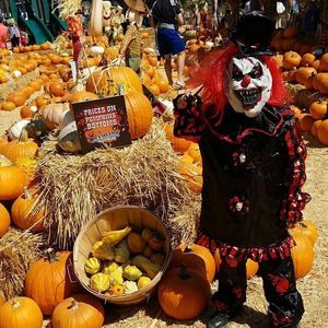 Meet your Posher, Maileandgiovanni